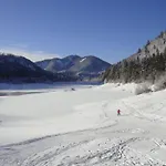 Alpenstern *