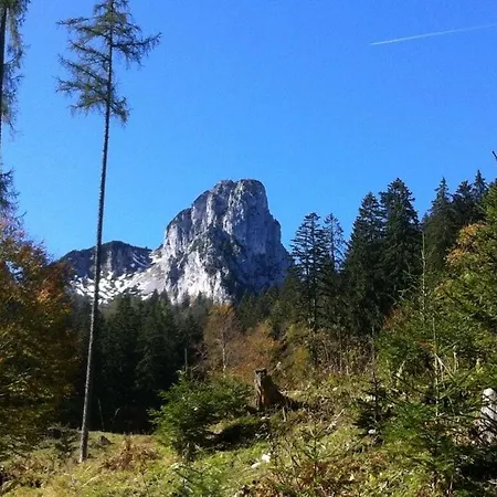Alpenstern * Ruhpolding