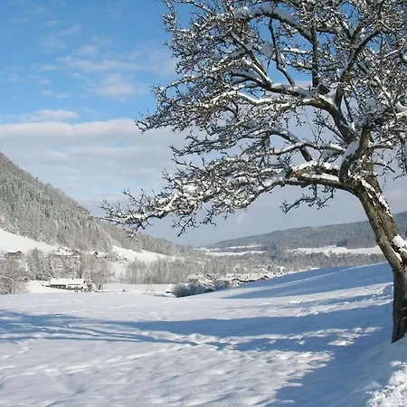 Apartment Alpenstern *